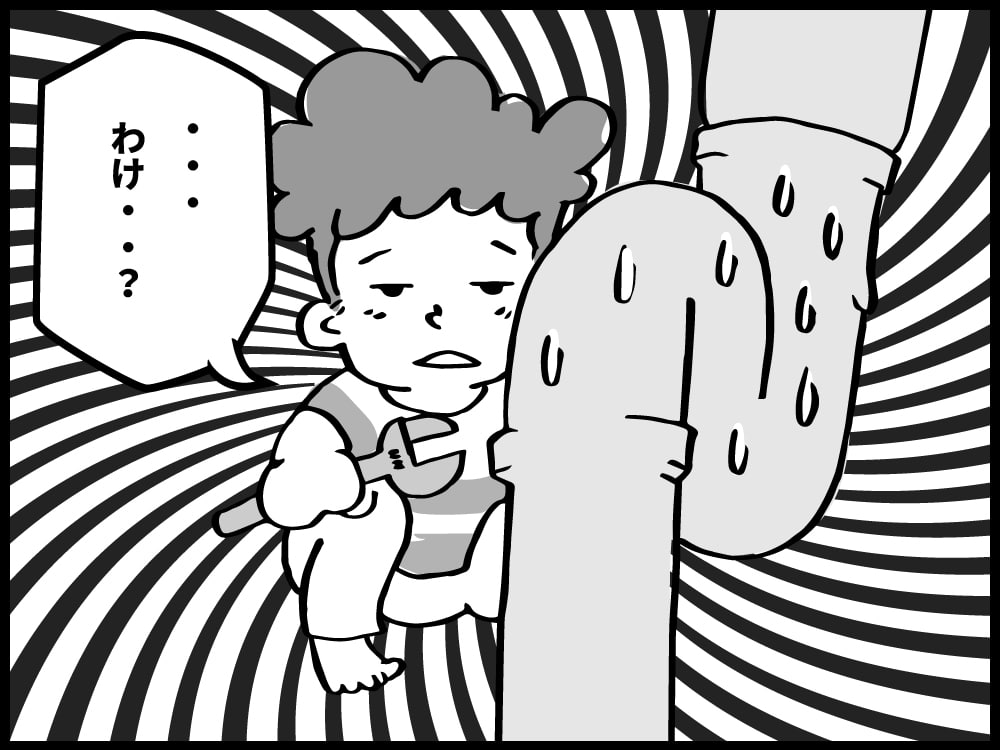 わけ？