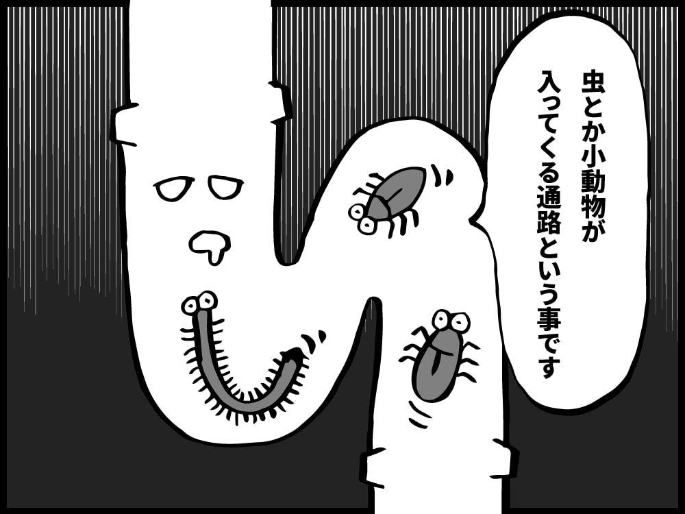 虫とか小動物が入ることのできる通路ということです
