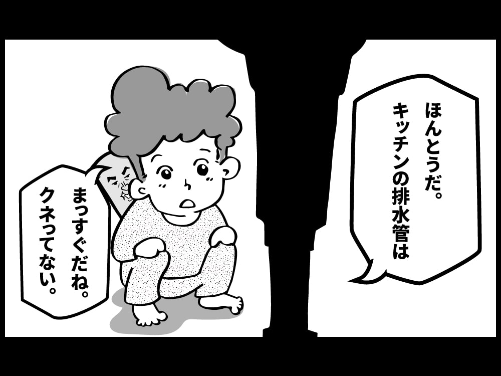 本当だ、キッチン下の排水管はまっすぐだね。くねっていない。