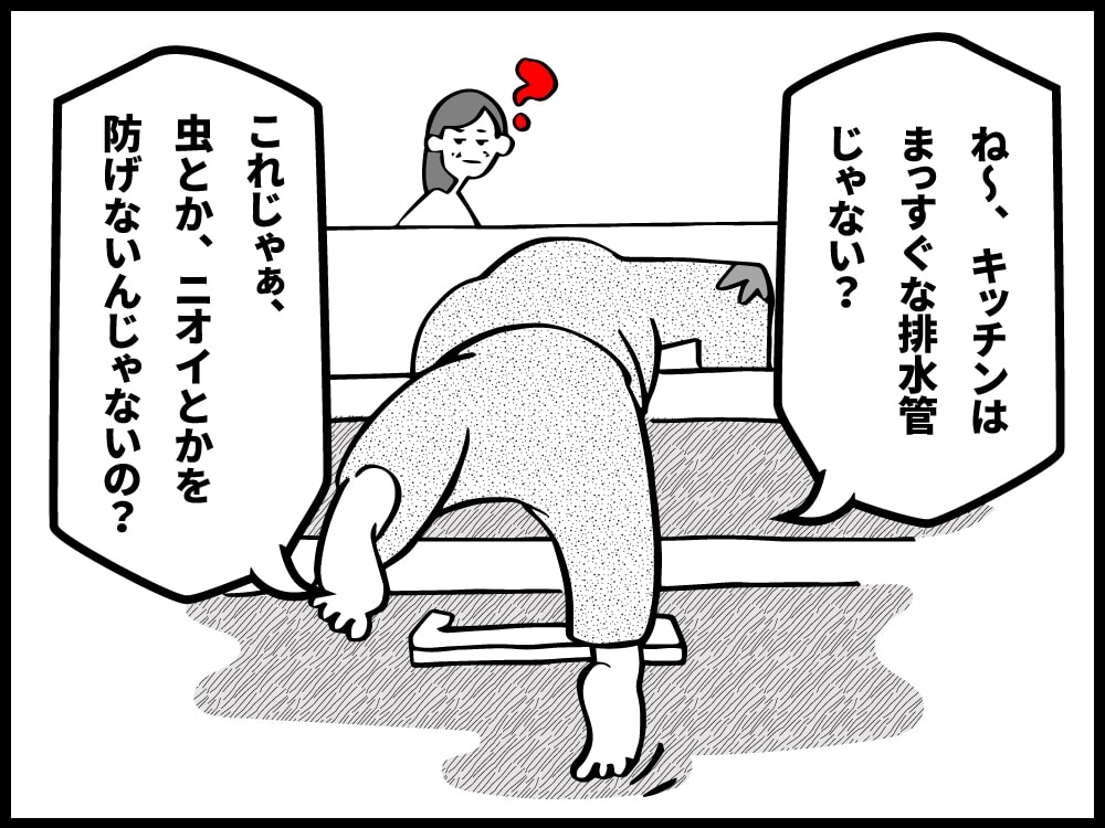 キッチンはまっすぐな排水管だけど、これだと虫とか臭いとかを防げないんじゃないの？