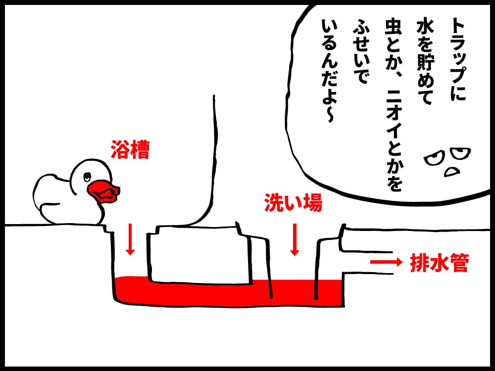 トラップに水を溜めて、虫とか嫌な臭いを防いでいるんだよ〜