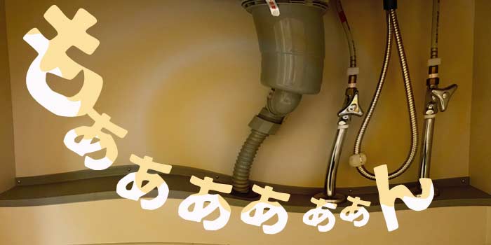 キッチンのシンクの下から嫌な臭いが上がってきませんか？もしかしたら防臭キャップが外れているかも。